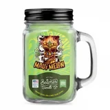 Beamer Candle - Maui Melon Beamer Candle - Maui Melon