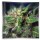 kush0