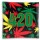 rasta 4200